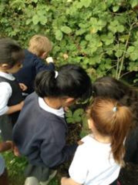 Enjoying an Autumn walk